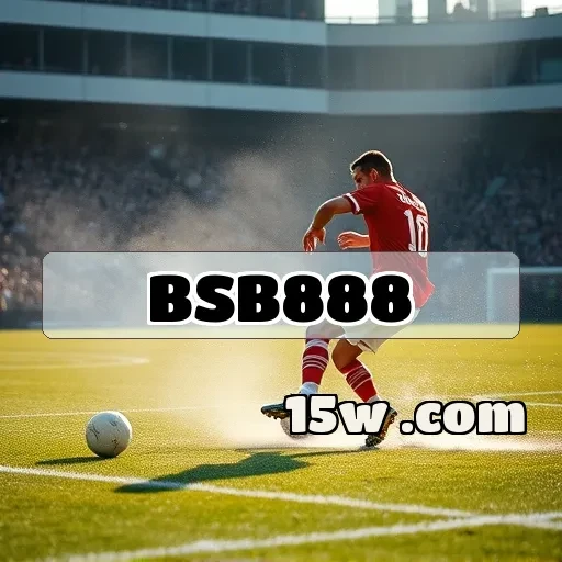 bsb888 Segurança