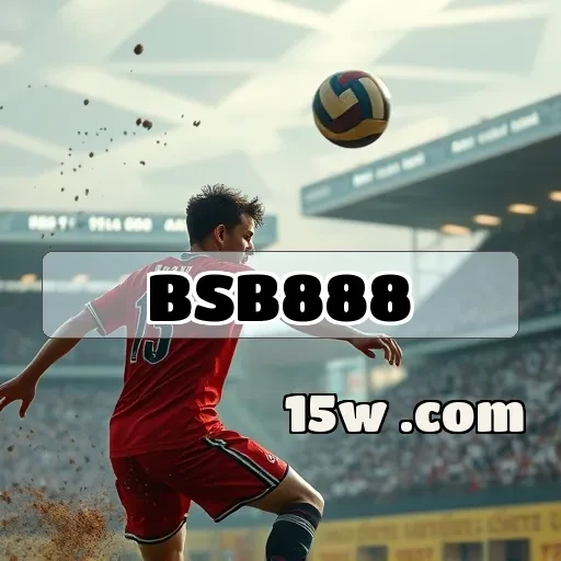 bsb888 Suporte 24/7